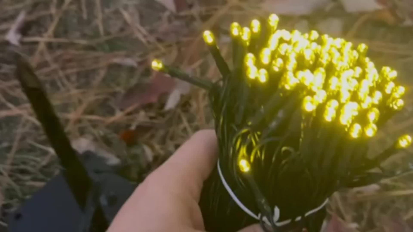 Solar Christmas Lights